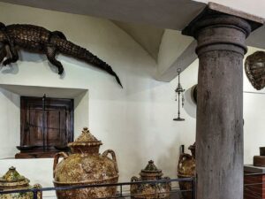 Statua di un coccodrillo all'interno della Antica Farmacia di Camaldoli
