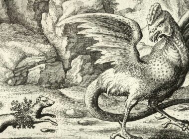 Illustrazione di W. Hollar dal titolo Il basilisco e la donnola