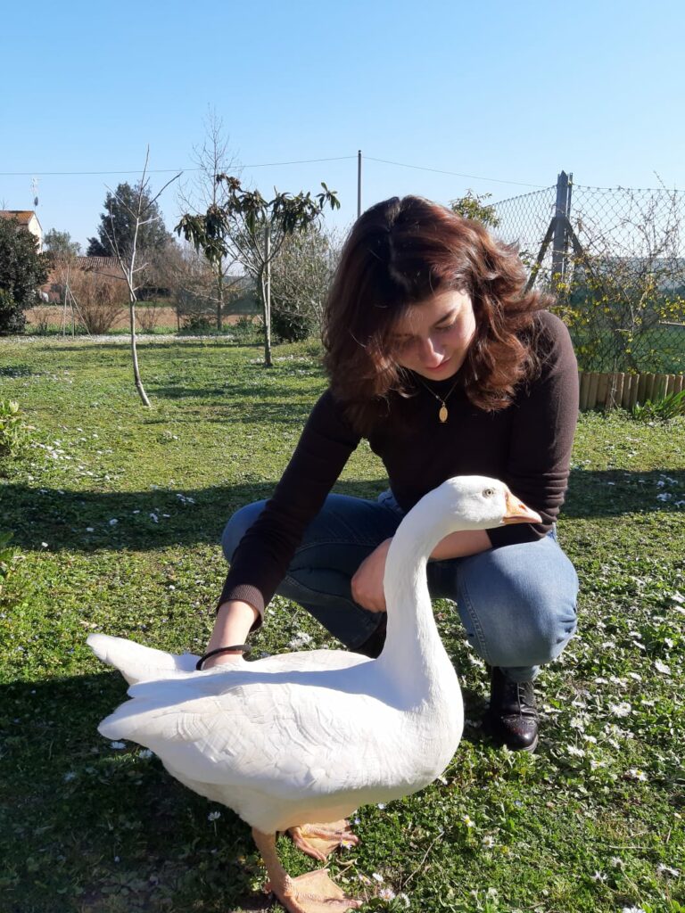 giovane ragazza con oca